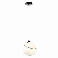Светильник подвесной Satturo SLE103143-01 Evoluce белый 1 лампа, основание чёрное в стиле кантри лофт шар